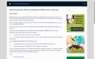 Fortuna Enterprise website