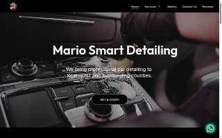 Mario Smart Detailing website