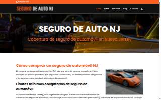 Seguro de Auto NJ website