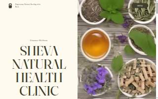 Sheva Natural Health Clinic website