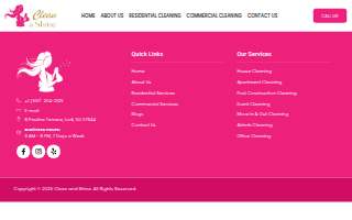 Clean and Shine of Lodi website