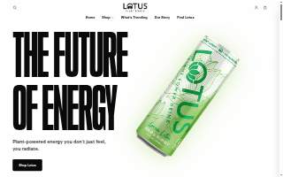 Lotus Business Resources website