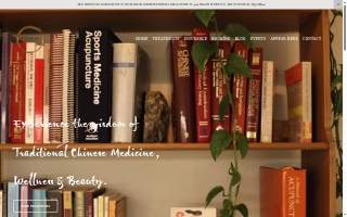 Acupunk NYC website