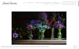 Studio Nectar website