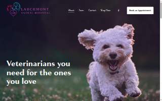 Larchmont Animal Hospital website