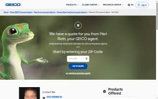 Hari Roth - GEICO Insurance Agent website
