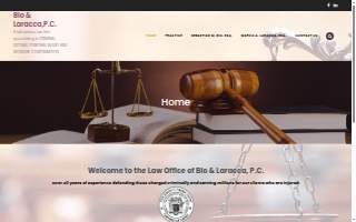 Bio and Laracca, P.C. website