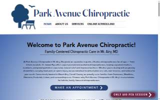 Park Avenue Chiropractic website