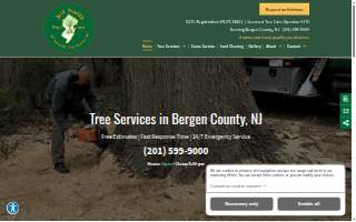 Jeff Smith All Seasons Tree website