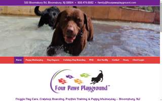 Four Paws Playground-- Doggie Daycare, Crateless Boarding, Puppy Wednesday and Training website