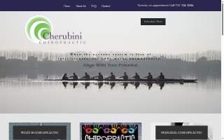 Cherubini Chiropractic website