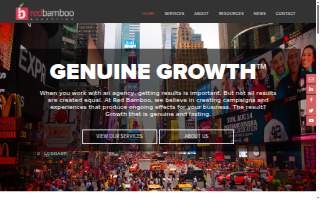 Red Bamboo Marketing website