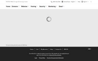 Top Line Auto Care website