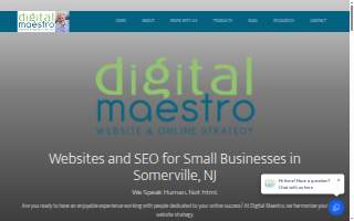Digital Maestro website