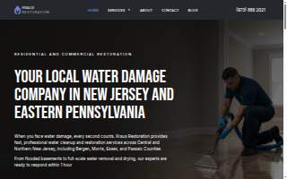 Kraus Restoration website