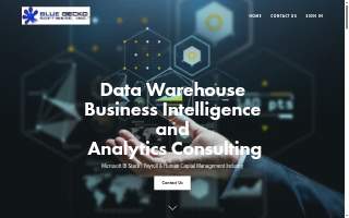 Business Growth Strategies International website