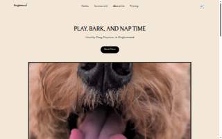 Englewoof website