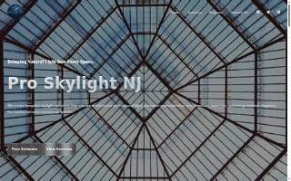 Skylight Pro NJ website