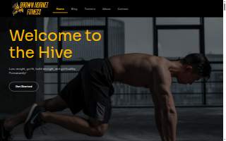 Brown Hornet Fitness website