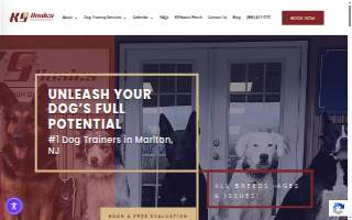 K9 Basics - Dog Training of Voorhees website