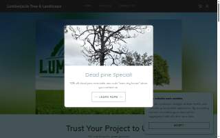 Lumberjacks Tree Service of Wallington website