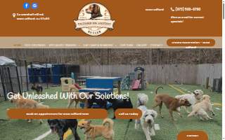 Unleashed Dog Solutions website