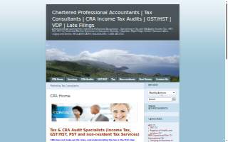 MK Tax & Accounting LLC website