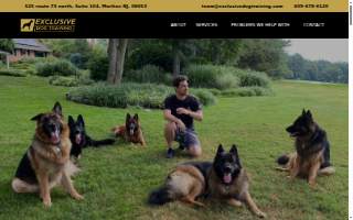 Exclusive Dog Training website
