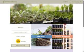Stone House Nursery website