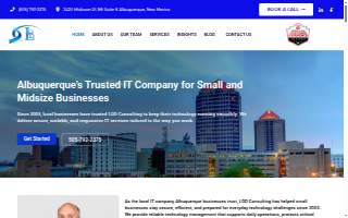 LDD Consulting, Inc. website