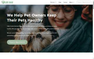 Summit Family Dental website
