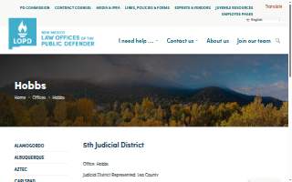 Public Defender website