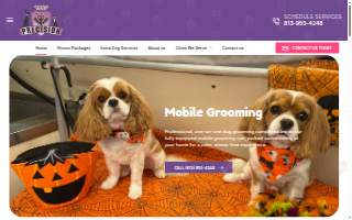 Precision Groomers website