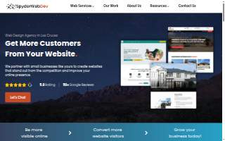 SpyderWeb Dev website