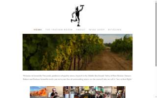Jaramillo Vineyards Wine Tasting Room website