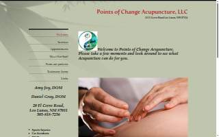 Points of Change Acupuncture website