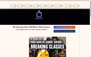 The Dancing Turtle LLC website