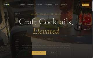 Salud Events of Elko website
