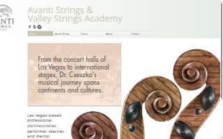 Valley Strings Academy website