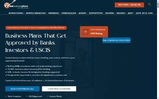Wise Business Plans of Las Vegas website