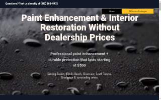 Alpha Pro Detailing LLC website