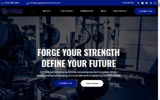 Forge Performance LV website