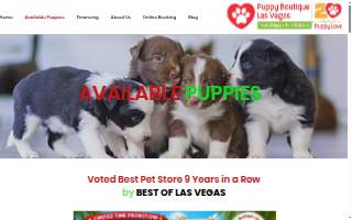 Puppy Boutique Las Vegas of Paradise website