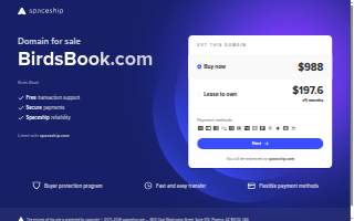 Bird's Eye Bookkeeping, LLC website