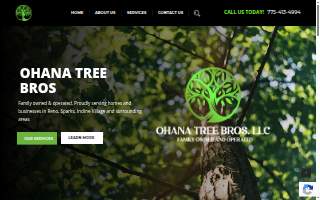 Ohana Tree Bros website