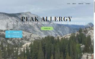Peak Allergy website