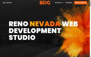 BDG Web Design website