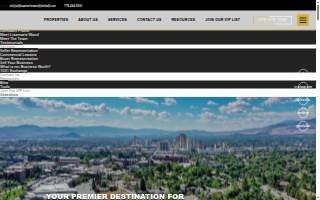 Lisamarie Wand Group - Commercial Real Estate & Business Brokering Experts website