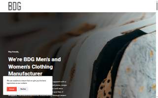 BDG Web Design of Sparks website