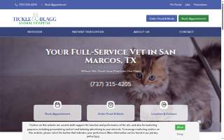 TickTalk Therapy of Whitney website